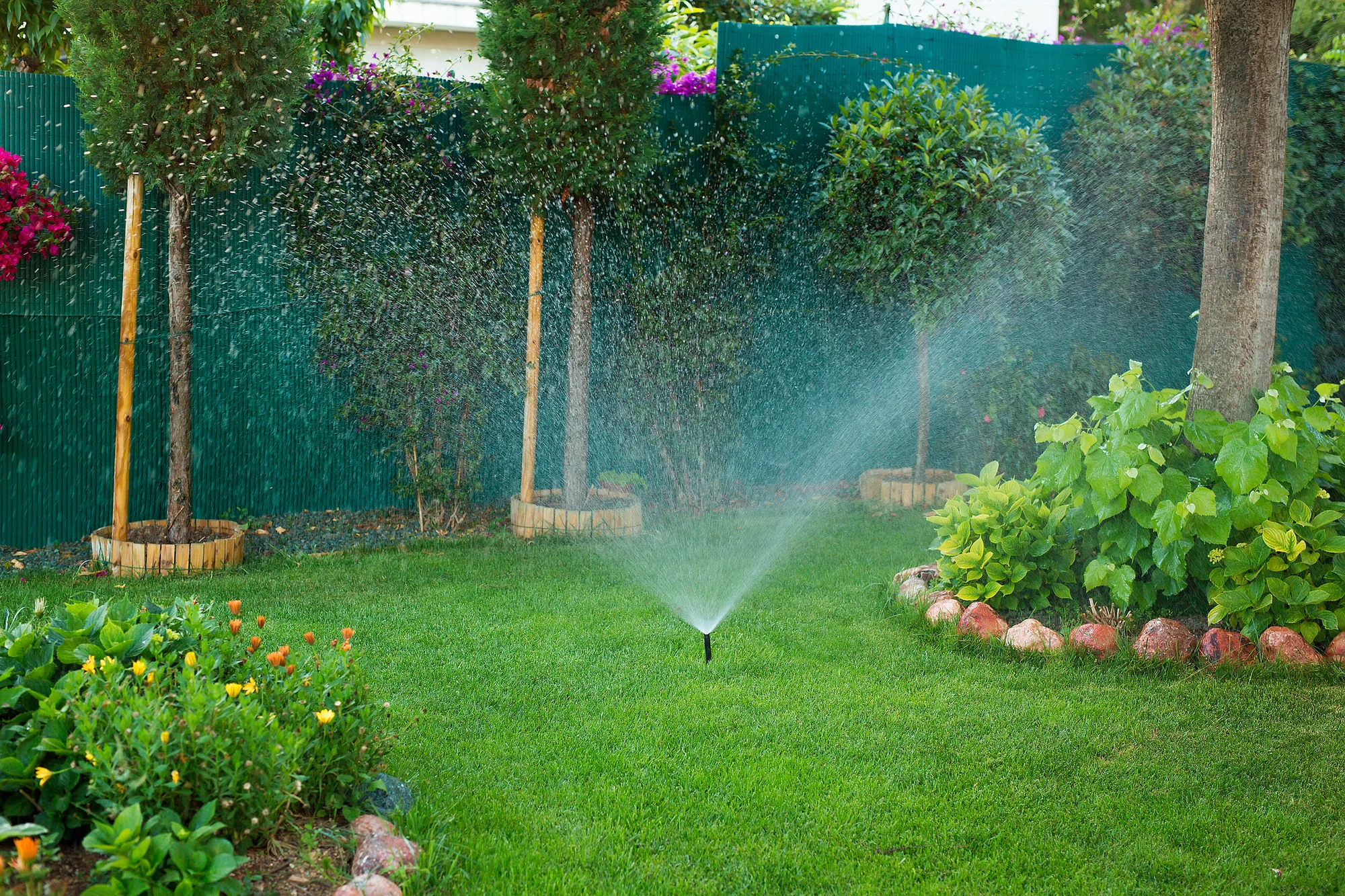 Landscaping services visual 1 in Parkway, CA Landscaping services visual 1 in Parkway, CA
