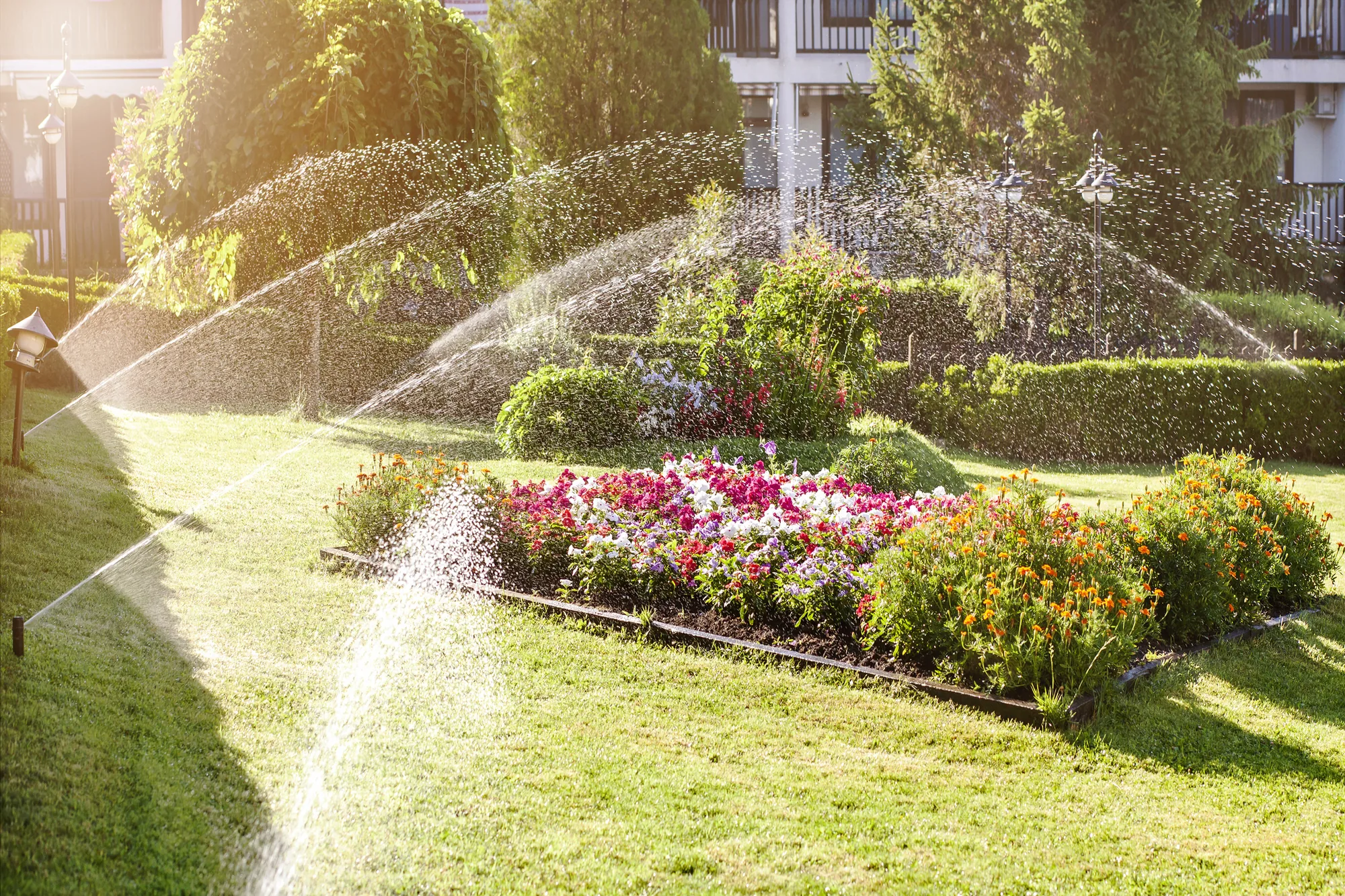 Landscaping services visual 3 in Parkway, CA Landscaping services visual 3 in Parkway, CA