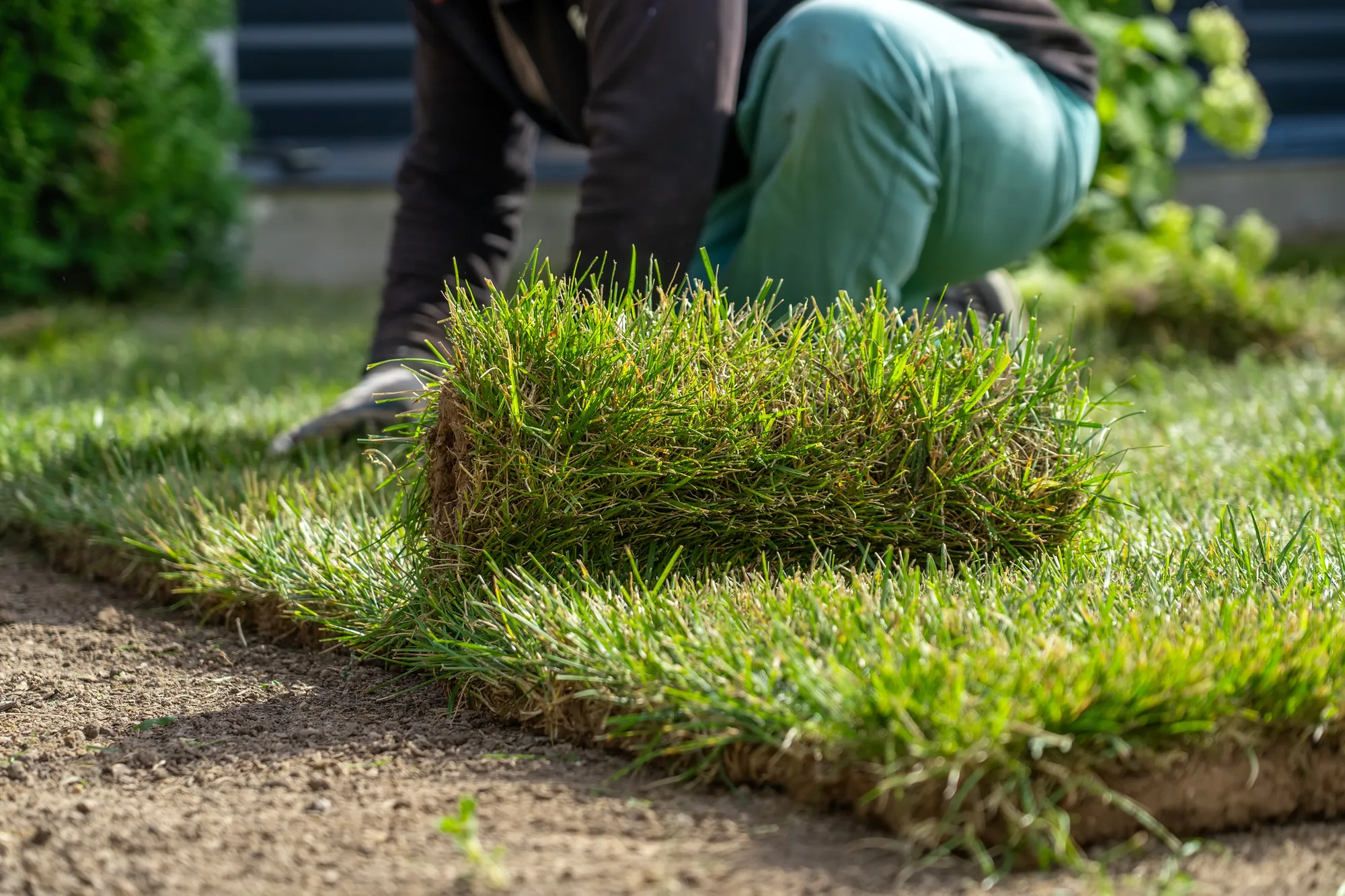 Landscaping Company in Elk Grove, CA 95757 Landscaping Company in Elk Grove, CA 95757