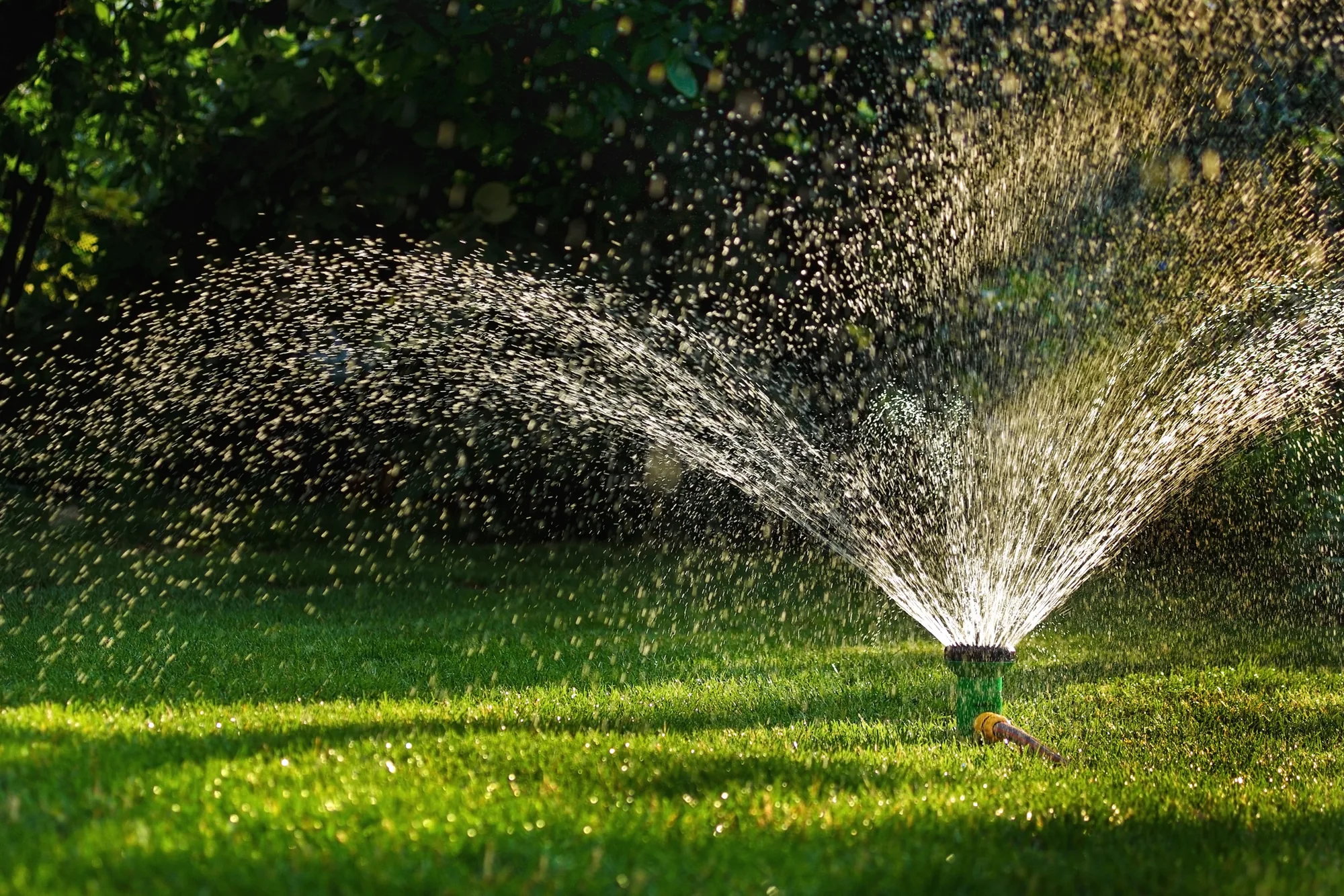 Efficient Landscaping Services to Transform Your Yard in Rio Linda, CA in Elk Grove, CA 95757 Efficient Landscaping Services to Transform Your Yard in Rio Linda, CA in Elk Grove, CA 95757