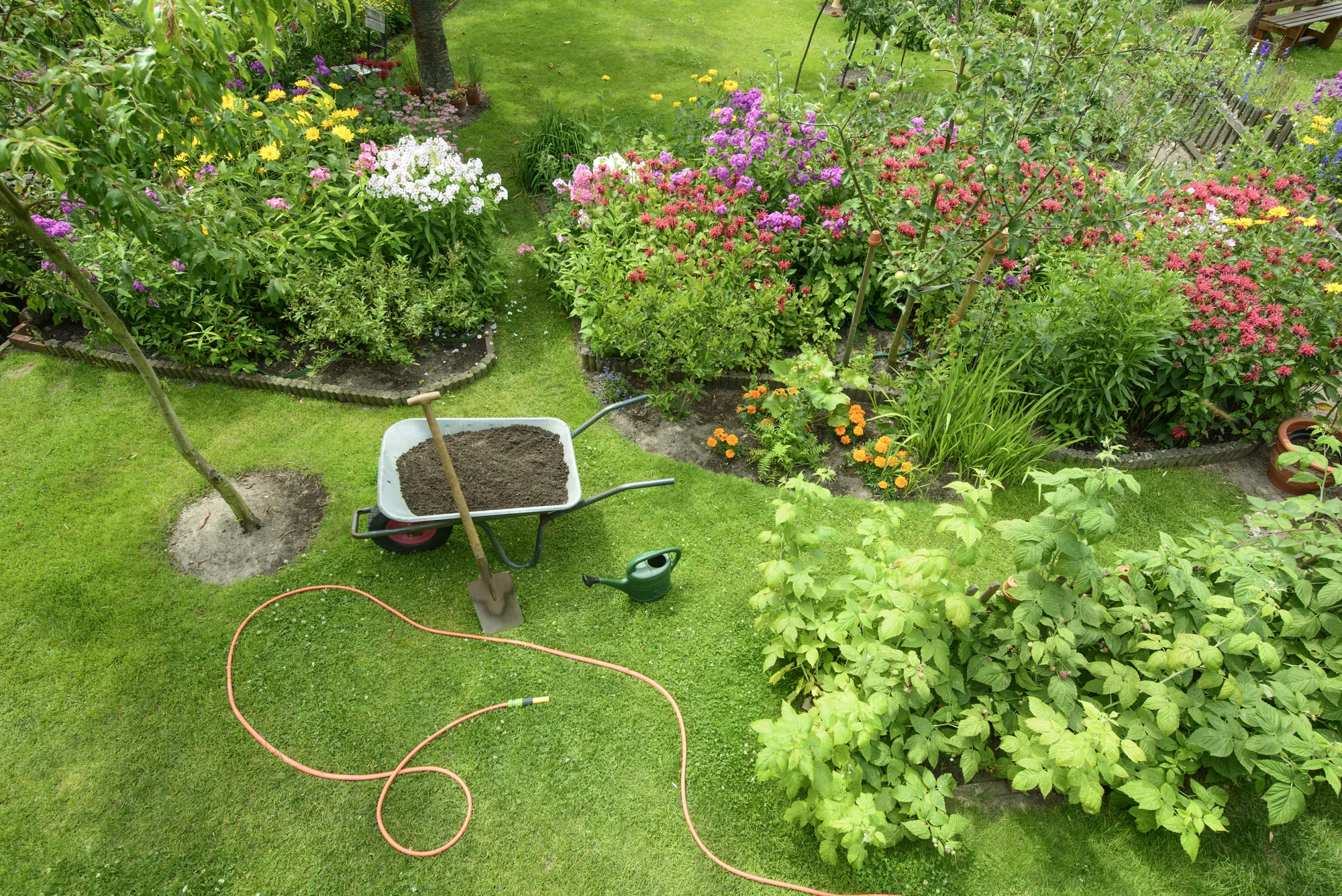 How Lawn Maintenance Enhances Curb Appeal For Homes visual 1 for Lawn Maintenance