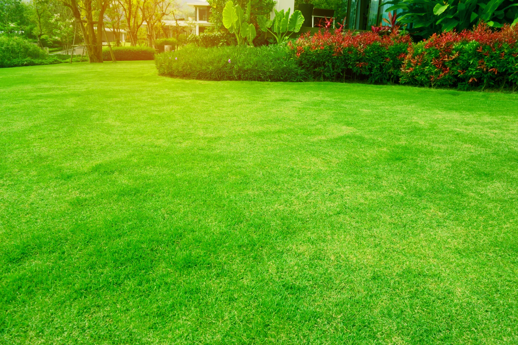 Lawn Maintenance in Elk Grove, CA 95757 Lawn Maintenance in Elk Grove, CA 95757