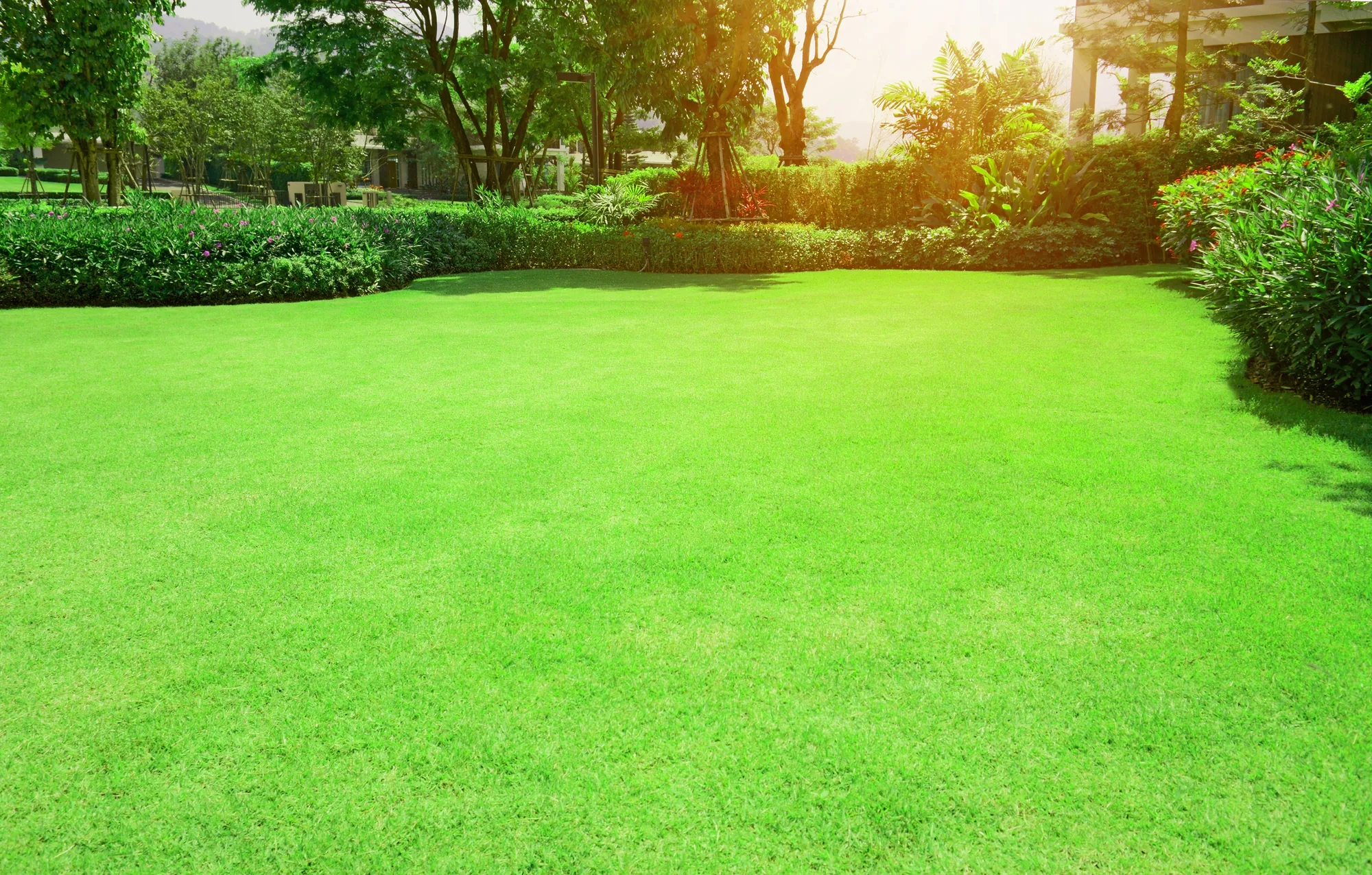 How Sprinkler System Repair Improves Water Efficiency guide in Elk Grove, CA 95757