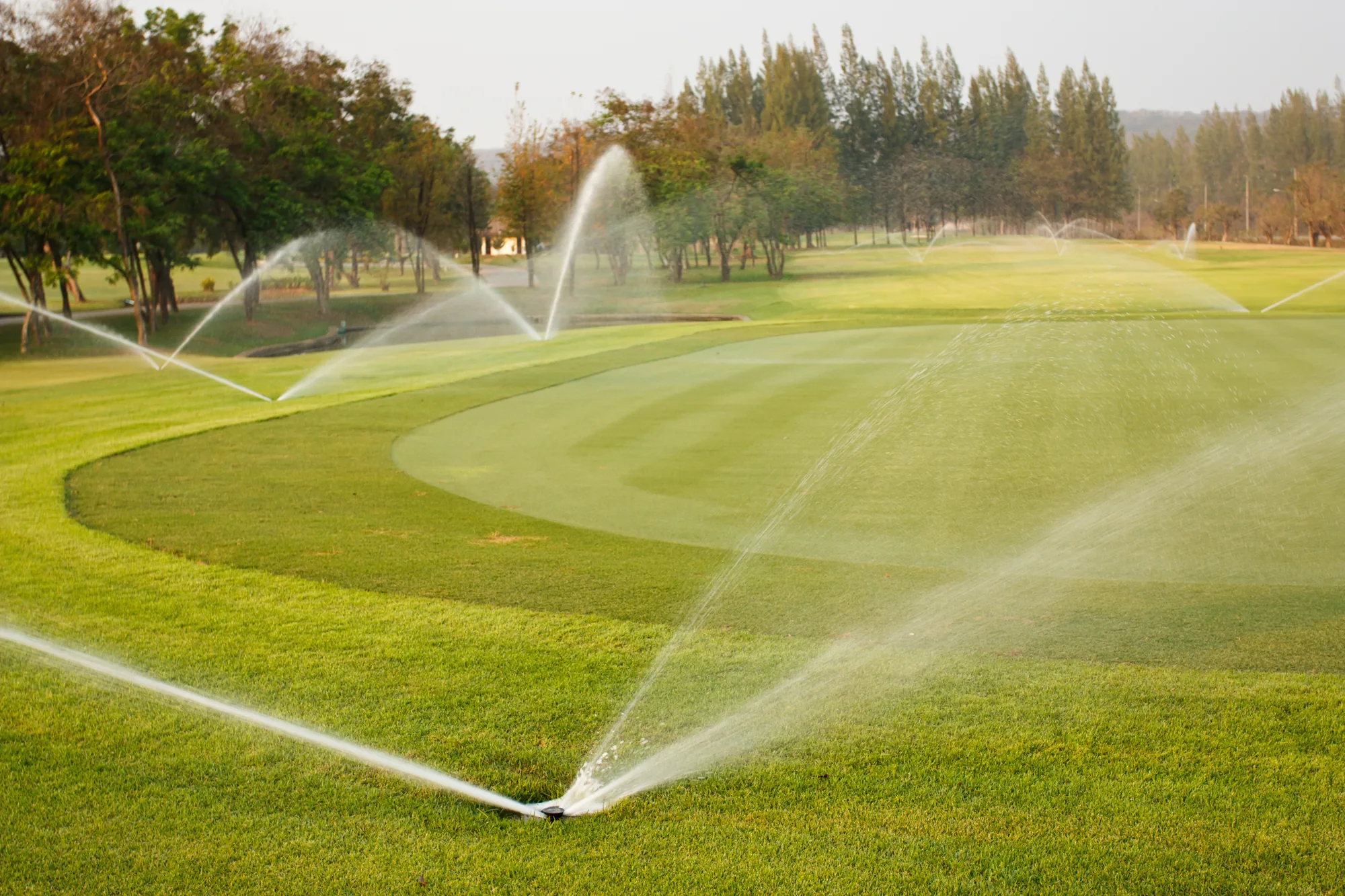 Sprinkler System Repair image 1 in Elk Grove, CA 95757 Sprinkler System Repair image 1 in Elk Grove, CA 95757