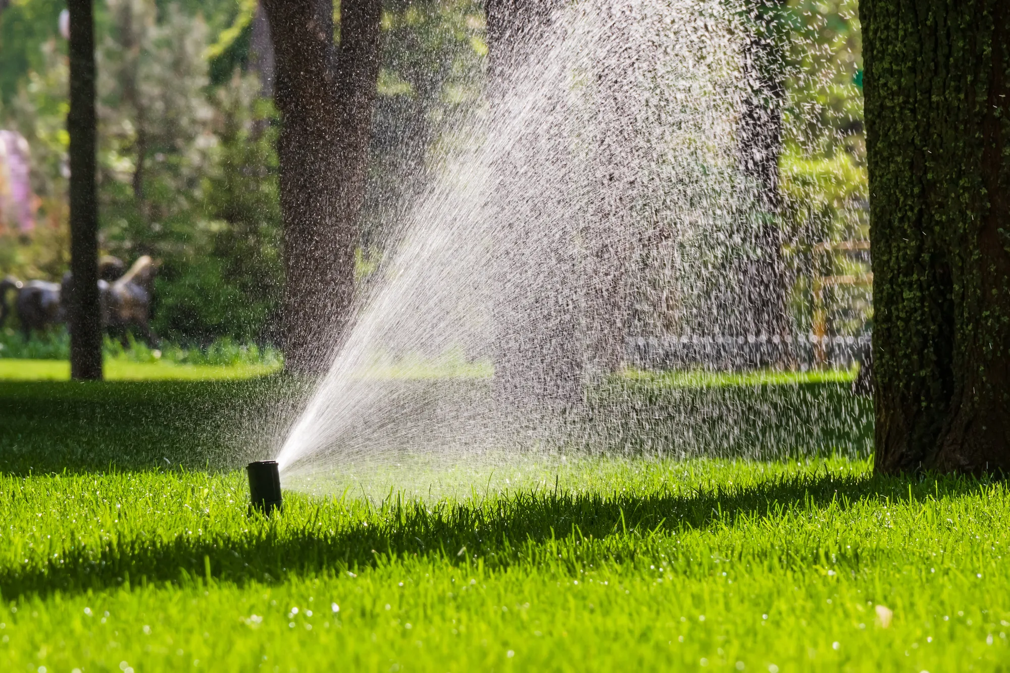 Sprinkler System Repair image 2 in Elk Grove, CA 95757 Sprinkler System Repair image 2 in Elk Grove, CA 95757